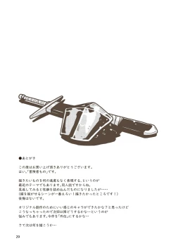 Page 28 of Kenshi Elen no Junan