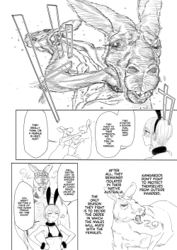 Page 6 of Kangaroo No Kimochi Ii | Kangaroo Fuck!