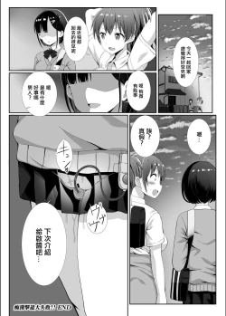 Page 17 of Chikan Gekitai Daishippai!!