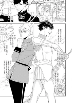 Page 10 of Shakunetsu no Ou no Inai1-6