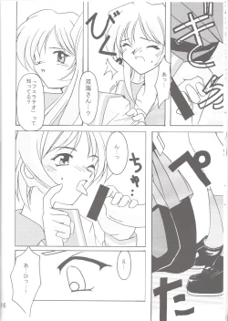 Page 17 of Lunasol Festa