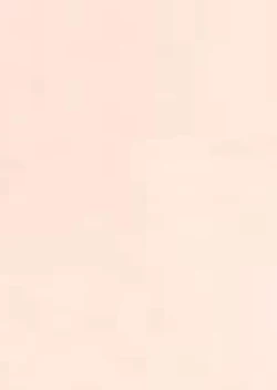 Page 2 of Lunasol Festa