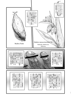 Page 11 of Dankon no Ethnography ─ Malakovia no Sei to Haisetsu ─