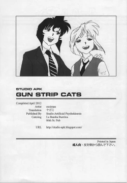 Page 17 of GunStrip Cats