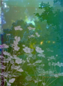 Page 79 of Night Night 2nd