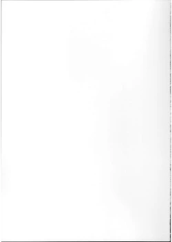 Page 38 of Ryousai-chan Ge