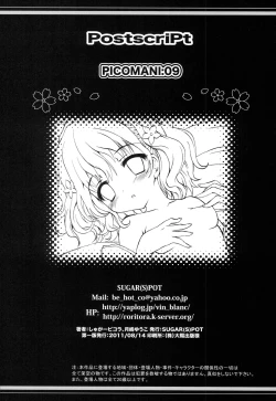 Page 25 of PICOMANI:09