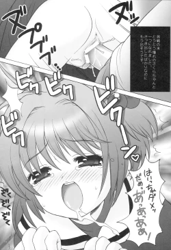 Page 15 of Punipoyon  summary version