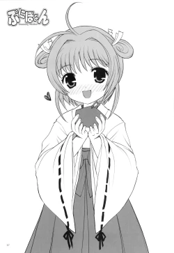 Page 36 of Punipoyon  summary version