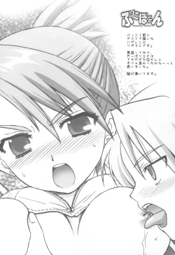 Page 73 of Punipoyon  summary version