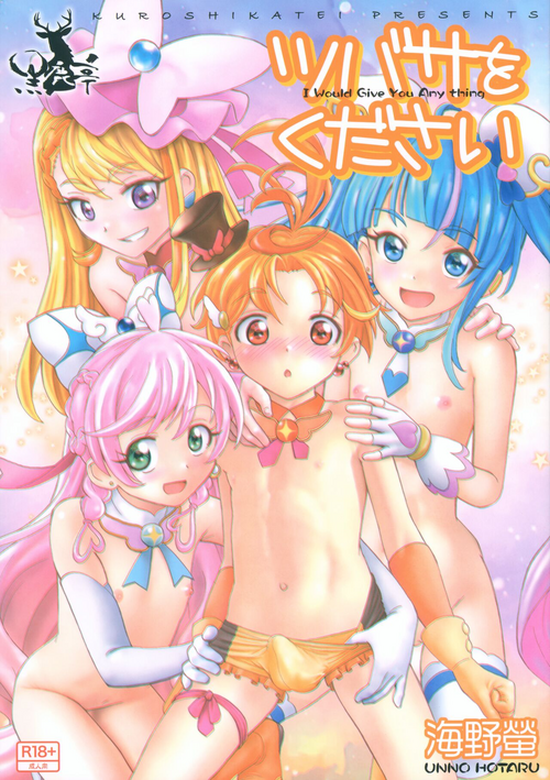 Download Tsubasa o Kudasai