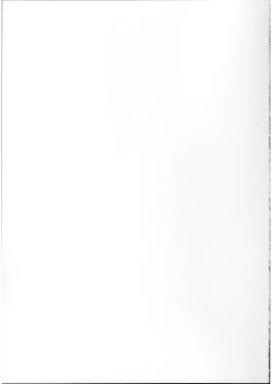 Page 38 of Ryousai-chan Ge