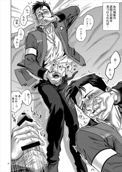 Page 21 of Distortion