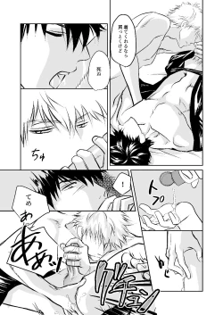 Page 14 of Seikou Houshuu