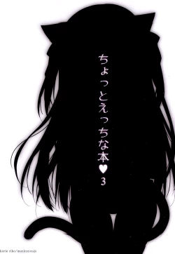 Page 17 of Chotto Ecchi na Hon 3