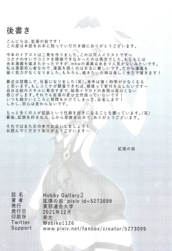 Page 22 of Hobby Gallary 2