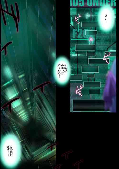『ヒロイン受胎命令・魔導神姫狩り編 ボディハッカー』前編(漫画形式＋高解像度)