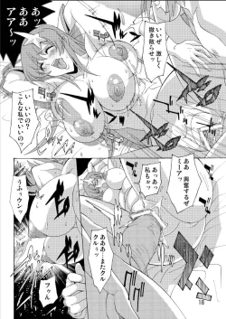 Page 17 of MEER ALIVE