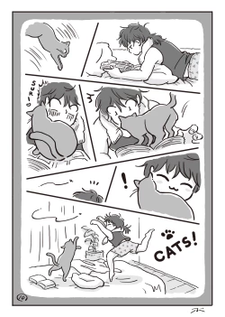 Page 11 of Haiiro no Asa...