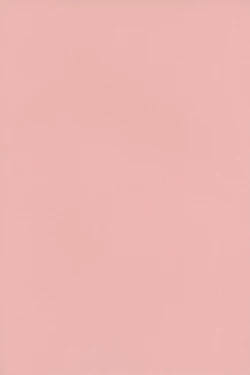 Page 2 of Shinjin AV Joyuu Totoki Airi Fan no Otaku Houmon de Paizuri & Fudeoroshi