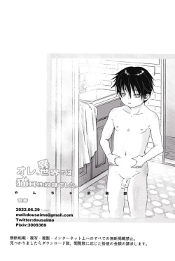 Page 29 of Ore, Isekai de wa Nekomimi Seidorei Deshita | I Became An Animal-Eared Slave In Another World