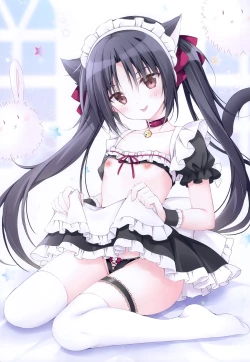 Page 12 of Chotto Ecchi na Hon 5