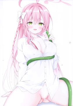 Page 5 of Chotto Ecchi na Hon 5