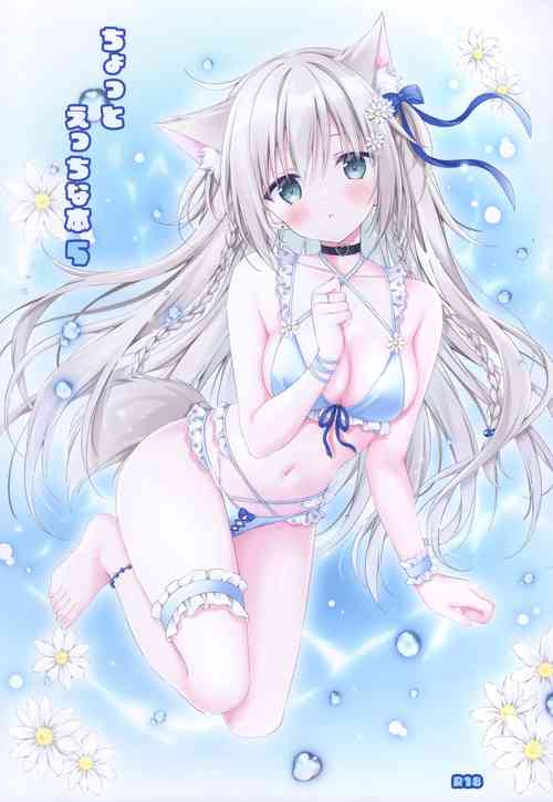 (C102) [Muzin Syoujo (Korie Riko)] Chotto Ecchi na Hon 5 (Various)