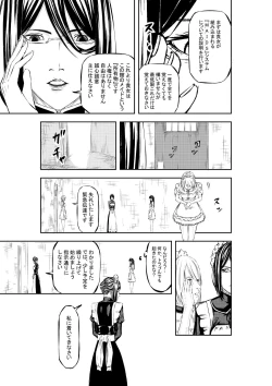 Page 12 of M.A.I.D.S System