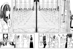 Page 13 of M.A.I.D.S System