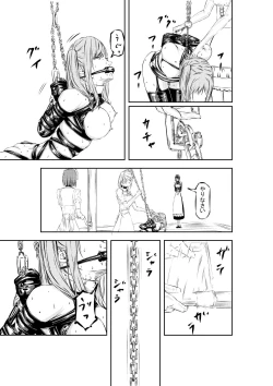 Page 15 of M.A.I.D.S System