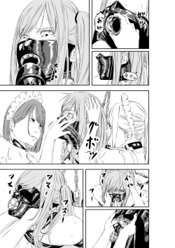 Page 19 of M.A.I.D.S System