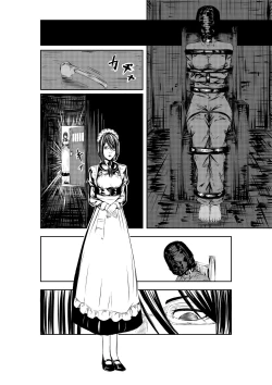 Page 5 of M.A.I.D.S System