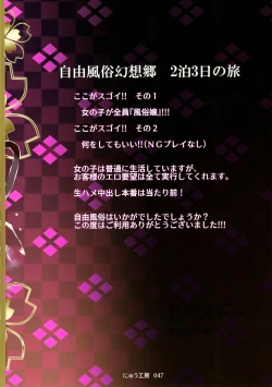 Page 44 of Oidemase!! Jiyuu Fuuzoku Gensoukyou 2kka no Tabi Musubi | Greetings! Gensokyo's Unrestricted Sexual Service 3 Days 2 Nights Trip - Musubi