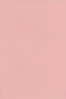 Page 2 of Shinjin AV Joyuu Totoki Airi Fan no Otaku Houmon de Paizuri & Fudeoroshi