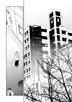 Page 162 of Yoru no Kyoudai
