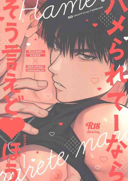 Download Hamerarete nara Sou Ie Doahou