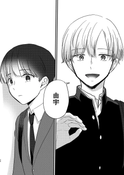 Page 26 of Caryopteris