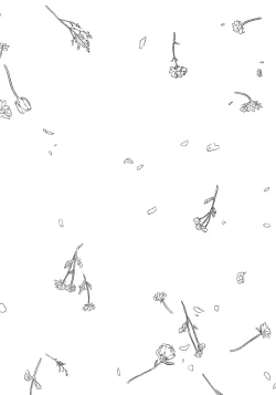 Page 38 of Noazami no Koi - The love of field thistle.