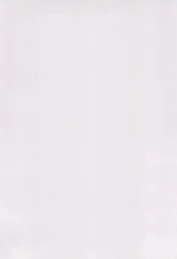 Page 4 of Musashi-chan to Himitsu no Nettaiya