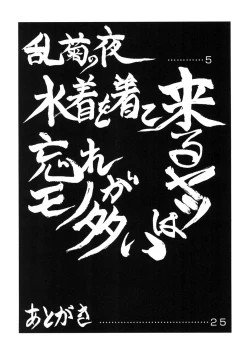 Page 3 of HOT BITCH JUMP 3 Rangiku no Yoru