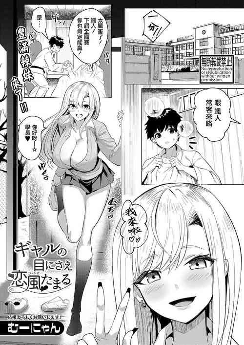 Download Gal no Me ni sae Koikaze Tamaru