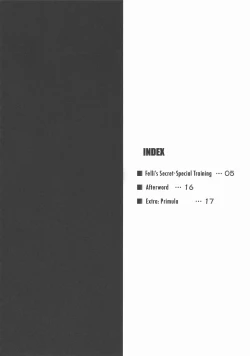 Page 4 of Felli no Hi-Mitsu Tokkun