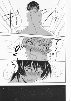 Page 29 of Dual zero Trick