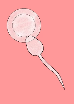 Page 52 of Watashi to Dare no Ko?