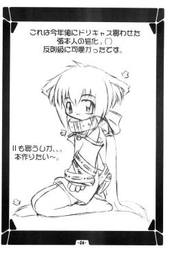 Page 26 of Hinaya Tsuushinbo DX Vol.1