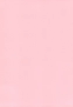 Page 2 of Natsumikan