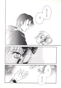 Page 21 of Vampire Princess Miyu Kahitsu Kaitei-ban