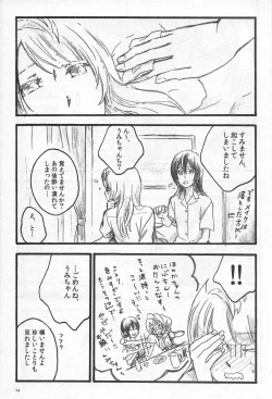 Page 13 of Anemone coronaria