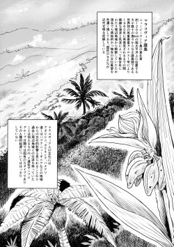 Page 2 of Dankon no Ethnography